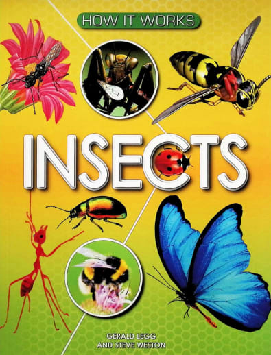 How it Works: Insects
