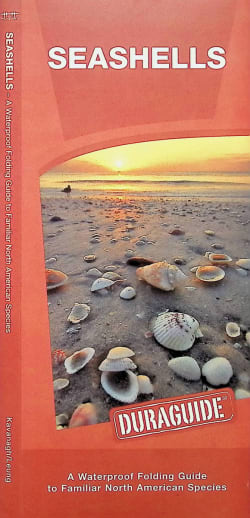Seashells Folding Pocket Guide