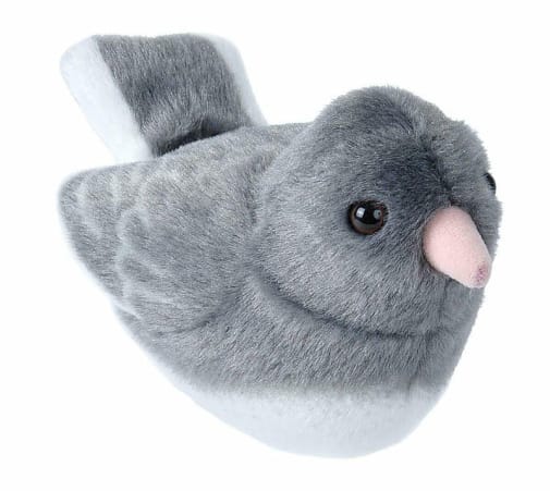 Audubon Bird: Dark-eyed Junco with Bird Call