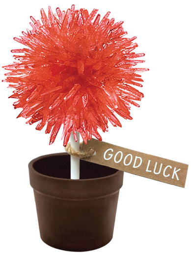 Crystal Lolipop Tree Crystal Lolipop Tree