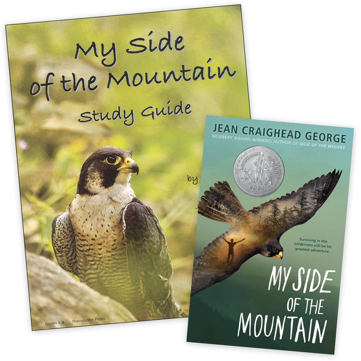 Progeny Press My Side of Mountain Set