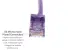 Cat6 Ethernet Patch Cable, Snagless, UTP, 1 ft, Purple