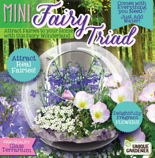 Mini Fairy Triad