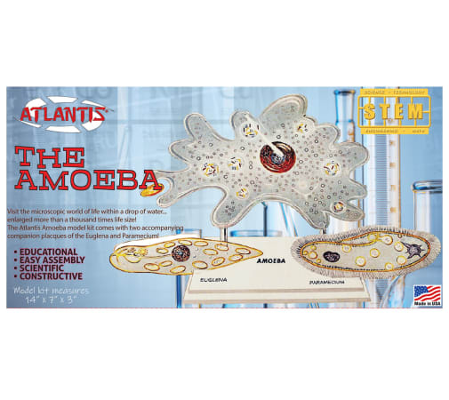 Amazing Amoeba STEM Model