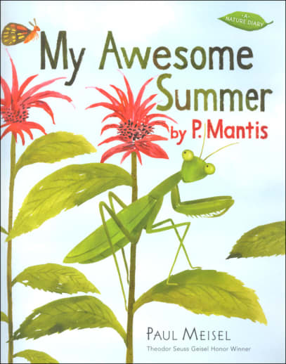 My Awesome Summer by P. Mantis