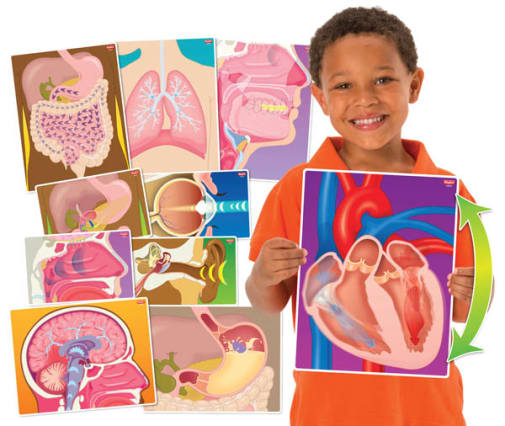 My Body in Action (package of 10)