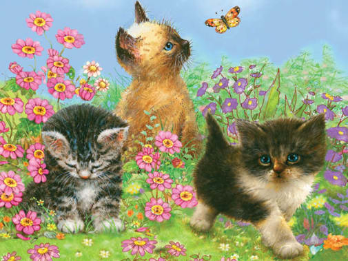 Colour Pencil By Numbers - Kittens