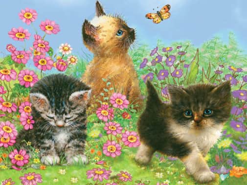 Colour Pencil By Numbers - Kittens