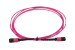 MPO Cable, 12-Strand, OM4, LSZH, UPC, Type B, Female Key Up to Female Key Up, 1 Meter