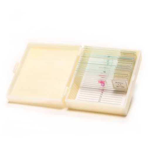 Introductory Biology Prepared Slide Set