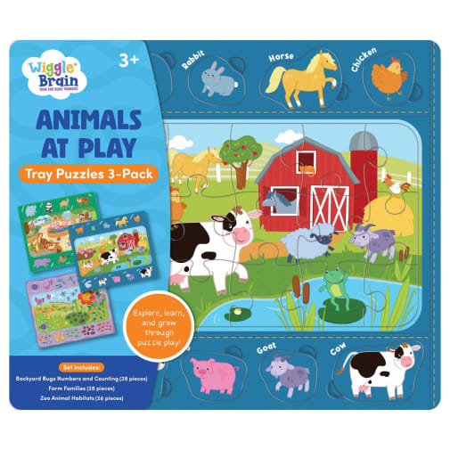 Wiggle Brain Tray Puzzles