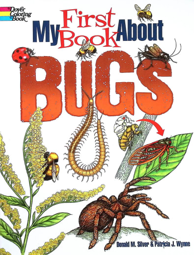My First Book About Bugs