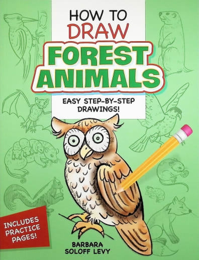 How to Draw Forest Animals