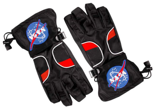 Aeromax Astronaut Gloves - Black (Medium)