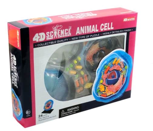 4D Animal Cell Anatomy Model