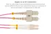 1M LC-SC OM4 40G 50/125 Multimode Duplex UPC Fiber Patch Cable, Violet