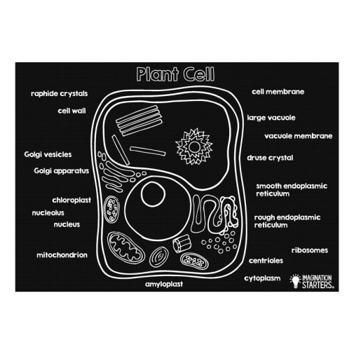 Plant Cell 12" x 17" Mat (Reversible)
