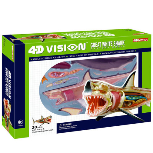 4D Vision Great White Shark Anatomy Model