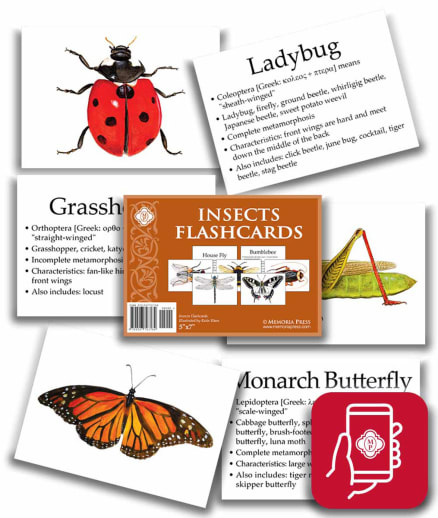 App Access: Memoria Press Insects Flashcards