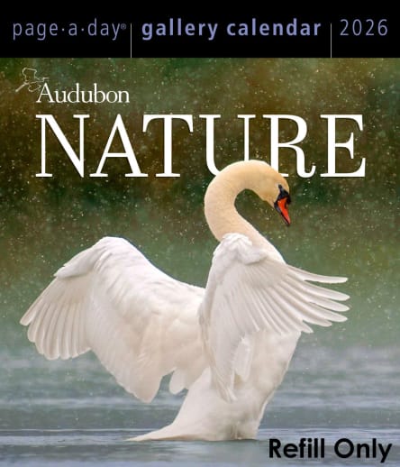 Audubon Nature Page-A-Day Gallery Calendar Refill Pack 2026