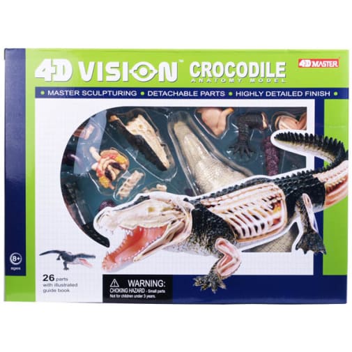 4D Vision Crocodile Anatomy Model
