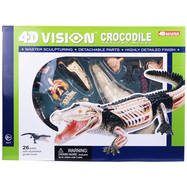 4D Vision Crocodile Anatomy Model