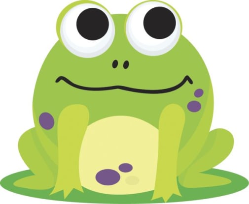 Magnetic Whiteboard Eraser - Frog