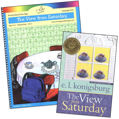 View from Saturday Literature Unit Package