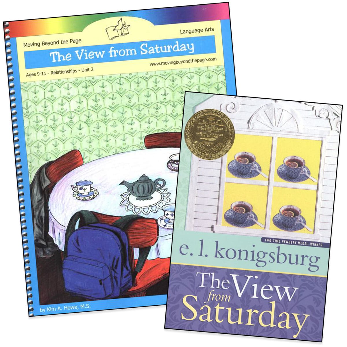 View from Saturday Literature Unit Package