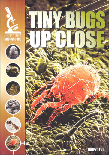 Tiny Bugs Up Close (Under the Microscope)