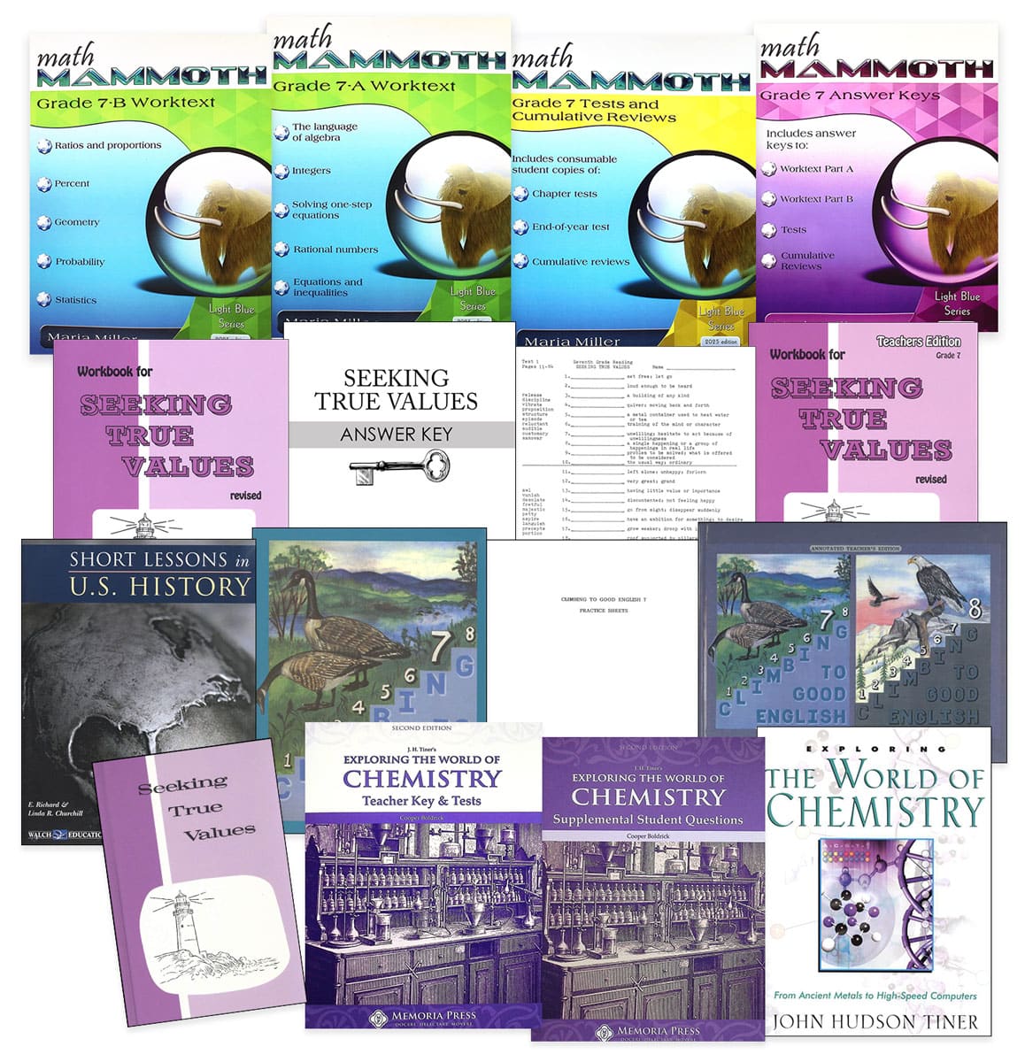 Rainbow Economy Starter Package Grade 7