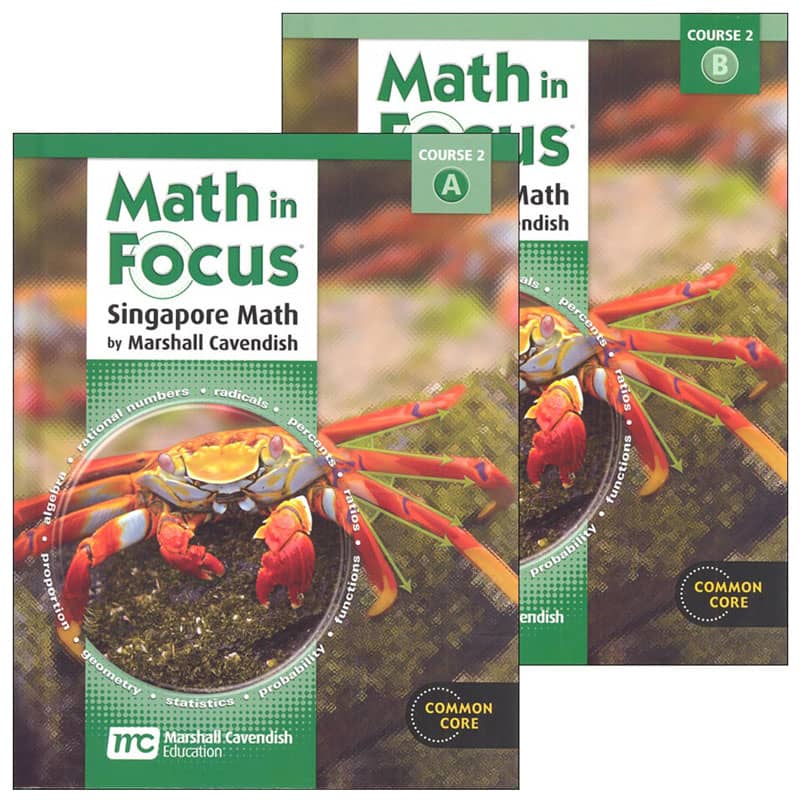 Math in Focus Course 2 Student Book A & B Set
