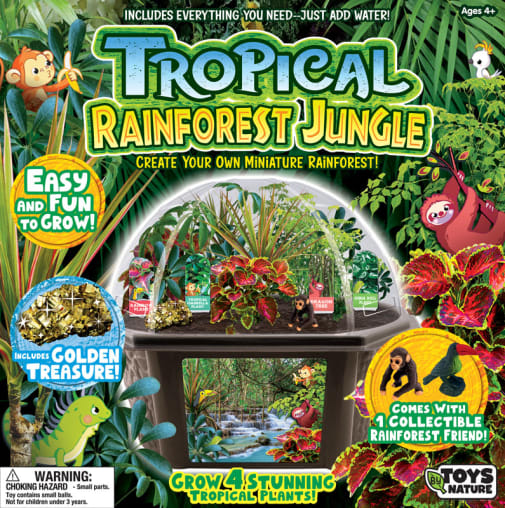 Tropical Rainforest Jungle