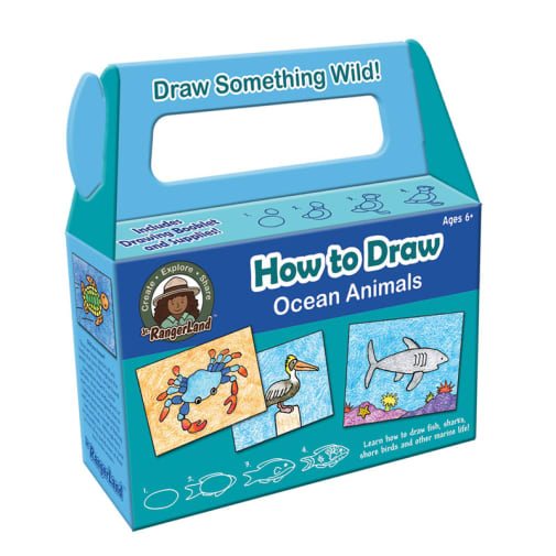 How to Draw Ocean Animals Art Kit