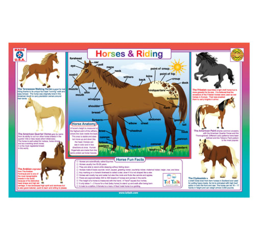 Let's Learn Horses Placemat