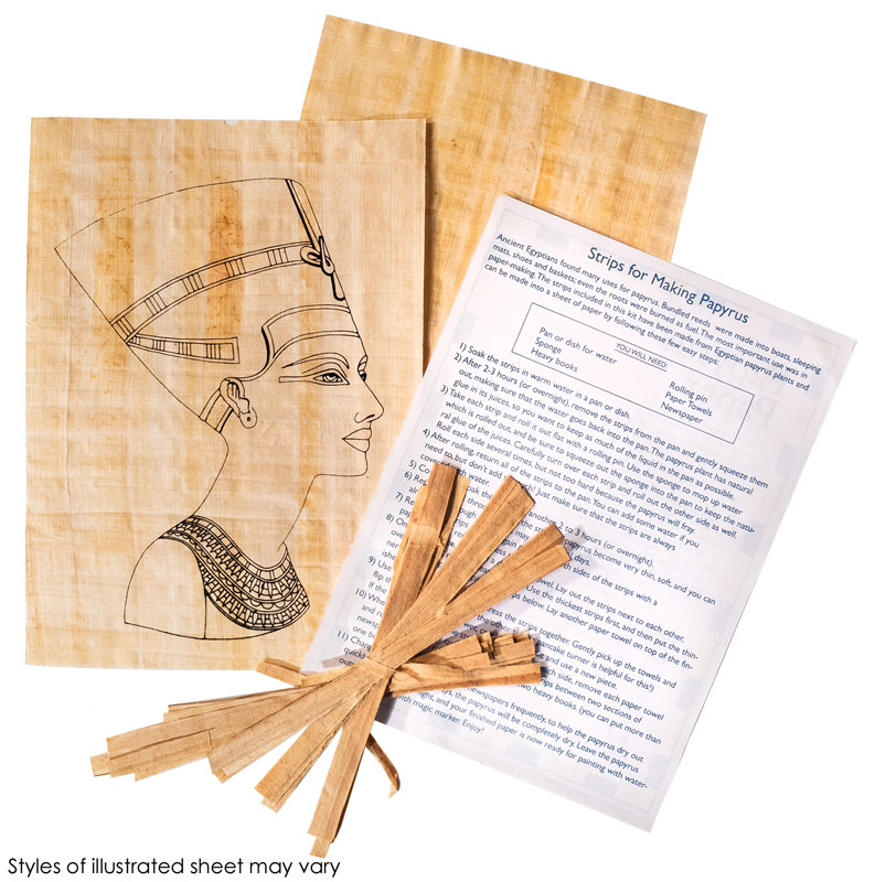 Papyrus Activity Kit