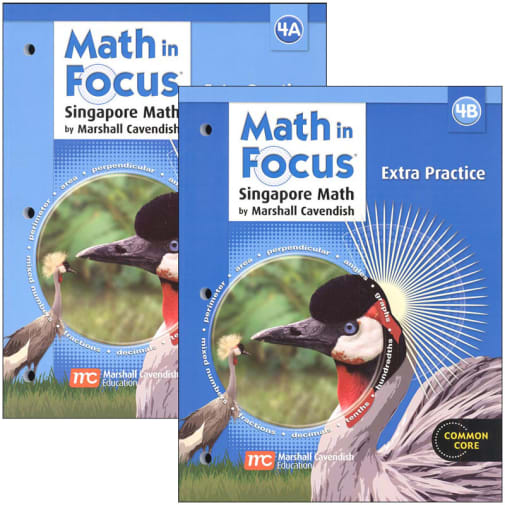 Math in Focus: Singapore Math Extra Practice Bundle, A & B Grade 4