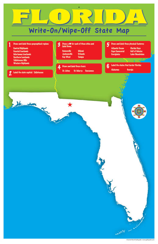 Florida Write-On/Wipe-Off Desk Mat - State Map
