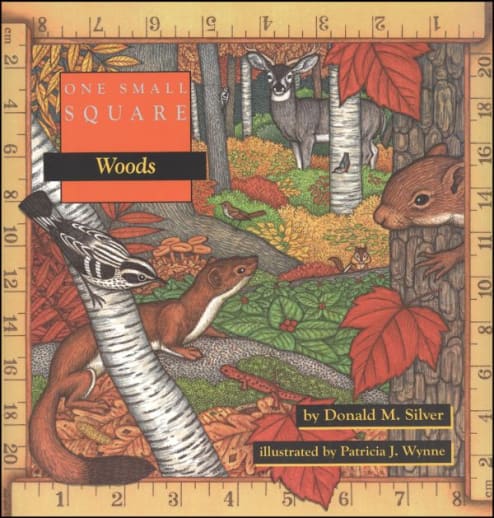 One Small Square: Woods