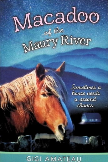 Macadoo of the Maury River (Horses of the Maury River Stables)