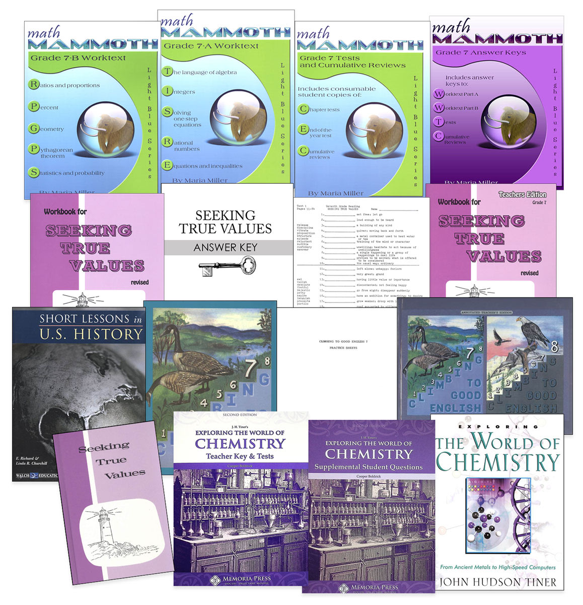 Rainbow Economy Starter Package Grade 7