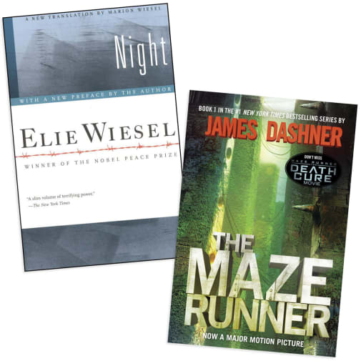 Horizon Charter Schools ELA Novels 10th Grade