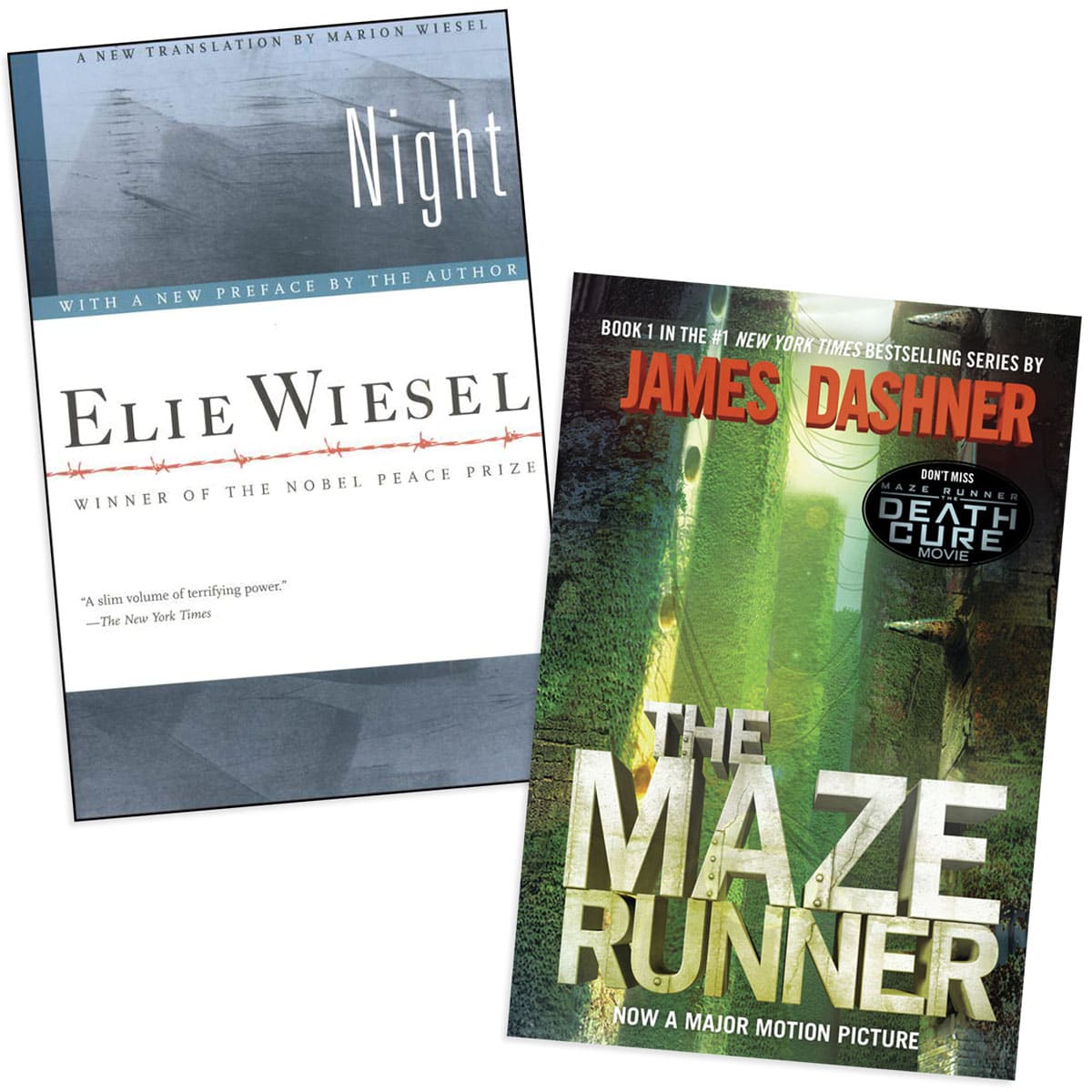 Horizon Charter Schools ELA Novels 10th Grade