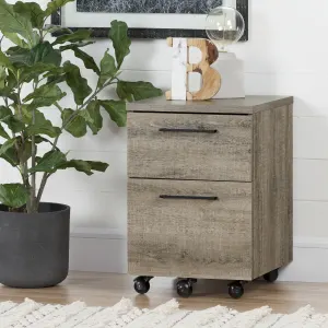 2-Drawer Mobile File Cabinet