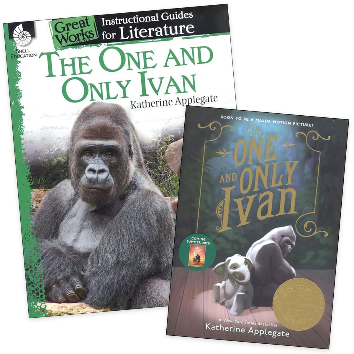 One and Only Ivan Instructional Guide for Literature Set