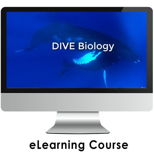 DIVE Self-Paced e-Learning Course: Biology 12 month subscription