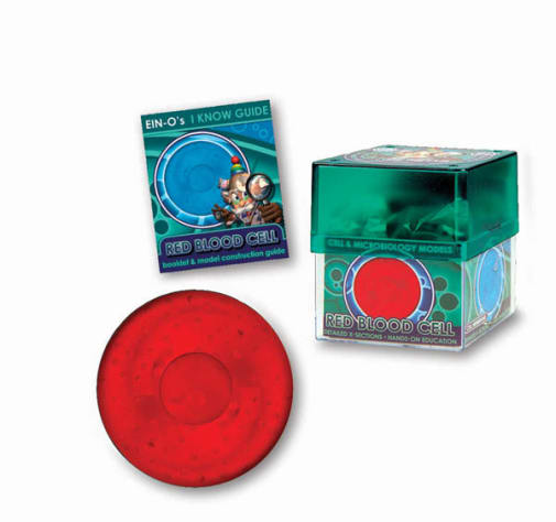 Red Blood Cell (Cell & Microbiology Model)