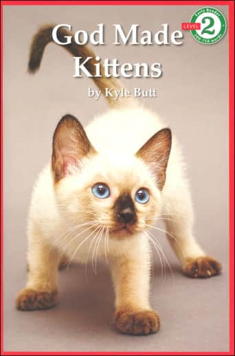 God Made Kittens (Early Reader Level 2)