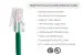 Cat5e Ethernet Patch Cable, Non-Booted, UTP, 7 ft, Green