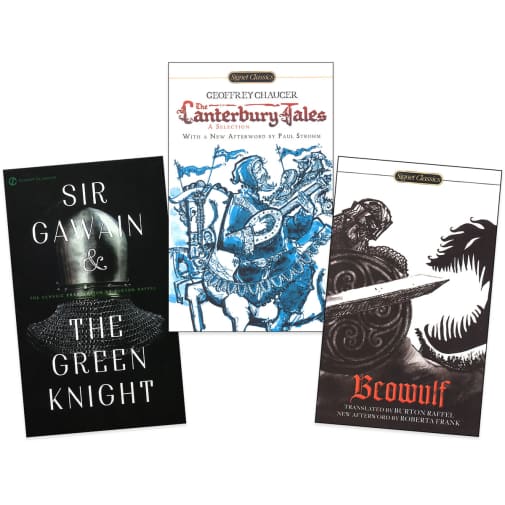 Lightning Literature & Composition British Medieval Literature Only